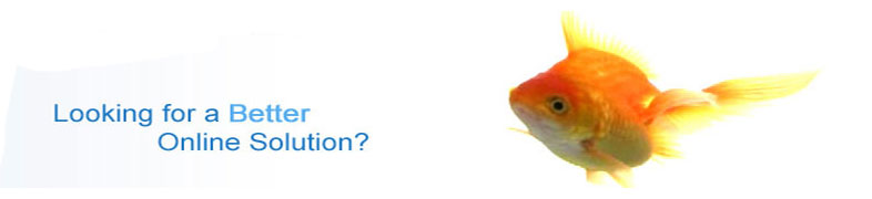 alt="BsoftIndia Complete IT Solution, web designing india, web promotion india, cms development india, software development, affiliate marketing, internet markting,content managment system, logo designing india, flash development multimedia solution india,e-commerce solution india,crm solution india, cms solution india,application development india, integrated solutions india, portal development india, web development india, online catalog designing seo servieces india, dynamic web designing india, cms development, crm development india, publishing managment india, article management india,integrated solutions, email marketing managment,Offshore software seo outsourcing, web designing outsourcing,cms outsourcing"