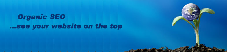 alt="BsoftIndia Complete IT Solution, web designing india, web promotion india, cms development india, software development, affiliate marketing, internet markting,content managment system, logo designing india, flash development multimedia solution india,e-commerce solution india,crm solution india, cms solution india,application development india, integrated solutions india, portal development india, web development india, online catalog designing seo servieces india, dynamic web designing india, cms development, crm development india, publishing managment india, article management india,integrated solutions, email marketing managment,Offshore software seo outsourcing, web designing outsourcing,cms outsourcing"